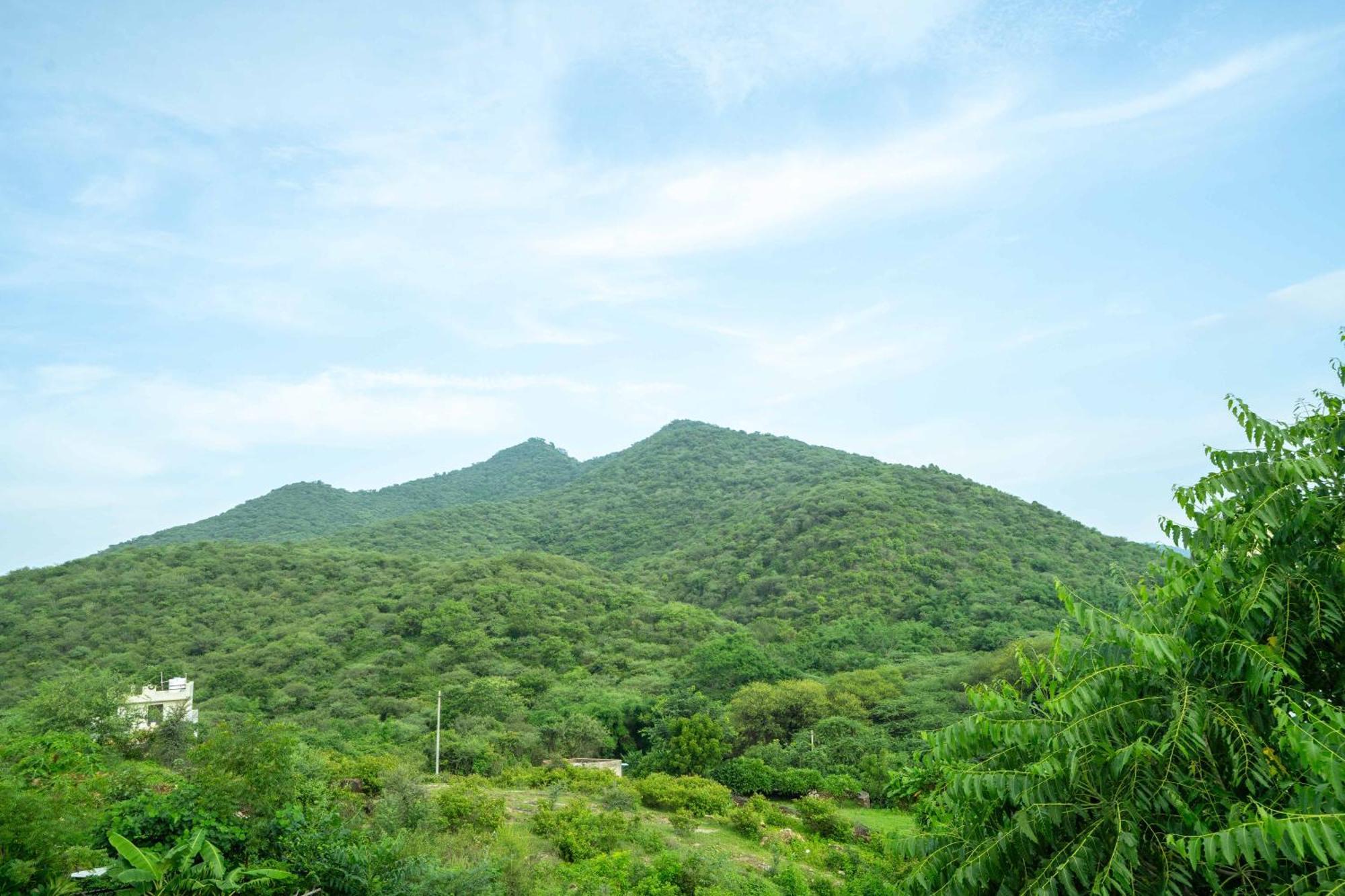 Treebo The Aravali Getaway Hotel Удайпур Екстериор снимка
